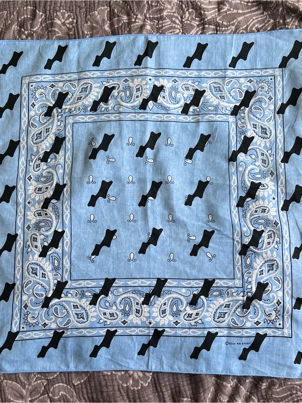 Limited Edition Justin Bieber SKYLRK Bandana Coachella 2026 Merch